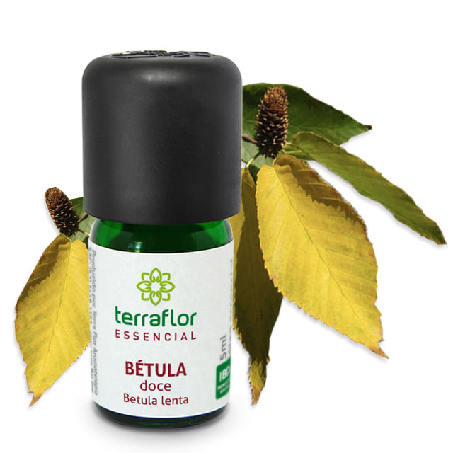 oleo-essencial-betula-doce-10ml