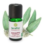 oleo-essencial-eucalipto-stageriana-10ml